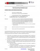 INFORME Nº 008-2011-OSR-PRONASAR-ANCASH/SSR/ST