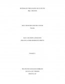 Sistema fidelizacion de clientes