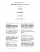 ARTOCARPUS INTREGRIFOLIA LAM.