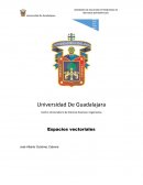 Ejecicios resueltos de espacion y sub espacios vectoriales