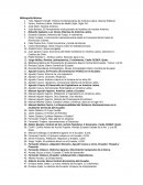 Economia bibliografica Ensayo