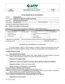 Ensayo DATOS GENERALES DEL INSTRUMENTO.