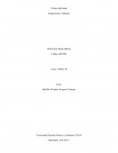 Trabajo Individual Organización y Métodos