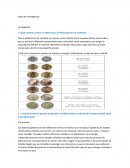 Pauta de investigación: LA MONEDA