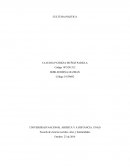 Cultura politica. Objetivo general