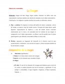 La imagen. Síntesis de contenidos