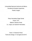 Tema I. El Derecho Penal