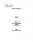 IMPORTANCIA DE LA SOCIOLOGÍA Y SU APLICACIÓN EN SU ÁMBITO