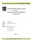FECUNDACION Y DESARROLLO EMBRIONARIO EN “ERIZO DE MAR”