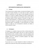 ANTECEDENTES GENERALES DEL BIODIGESTOR