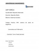 Trabajo Practico Nº4: sistema de salud en Argentina