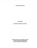 Cronograma y presupuesto