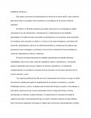 Empresa pública. LA CONSTITUCIÓN DEL SECTOR DE EMPRESAS PÚBLICAS