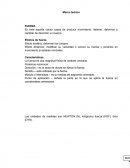 MAQUETA LEYES DE NEWTON