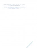 TRABAJO DE TEORIA BASICA.