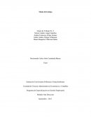 Semana 1 Caso Allegis Corporation