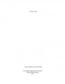 Tortura oculta Corrida de toros