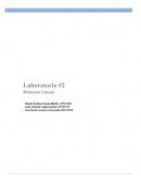 Laboratorio de Relacion Lineal