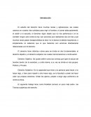 Teoría Subjetiva y diferencias.