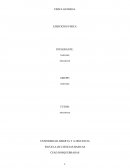 Músculos cutáneos del cráneo EJERCICIOS FISICA