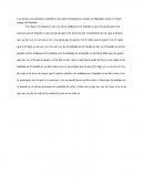 Los perros son animales mamíferos de suma inteligencia, siendo así llamados como el mejor amigo del hombre