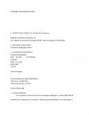 Se evidencia un trastorno de lenguaje debido a que su lenguaje es ininteligible.