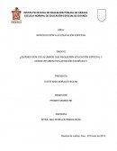 Ensayo ¿QUIÉNES SON LOS ALUMNOS QUE REQUIEREN EDUCACIÓN ESPECIAL Y DÓNDE RECIBEN ESTA ATENCIÓN EN MÉXICO?