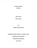 Aporte Individual_Alma_Palacio_100504_4