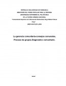 Desarrollo de La gerencia comunitaria-consejos comunales, Proceso de grupos-Diagnostico comunitario.