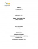 Investigaciòn de mercados