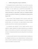 Medidas de slavaguardias