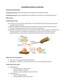 Propiedades intensivas y extensivas Planteamiento del problema