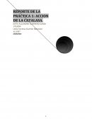 Accion de la catalasa