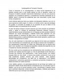 Formato 4