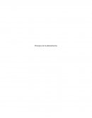 Principios de la administración. Principio de la Unidad de mando