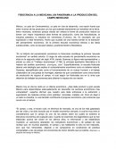 FISIOCRACIA A LA MEXICANA, UN PANORAMA A LA PRODUCCIÓN DEL CAMPO MEXICANO