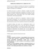 CUALES SON PROBLEMAS INHERENTES AL DERECHO CIVIL