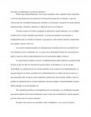 ¿Por qué son importantes los recursos naturales?