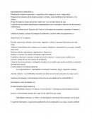 Organizar la estructura de la empresa actual y a futuro; como también de las funciones y los cargos.