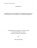 DETERMINACION DEL CUMPLIMIENTO DE UN PROTOCOLO DE VIGILANCIA EN SALUD PÚBLICA PARA EL MANEJO DE UN ACCIDENTE POR SERPIENTES