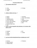 Encuesta telefonia movil