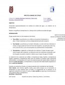 PRACTICA cambios de estado del agua y su relación con la temperatura
