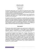 Línea de acción Desarrollo Social