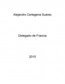 Informacion Actual de francia