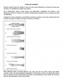 Tipos de chispas y templado de metales