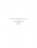 Sistema Nacional de Certificación de Competencias Laborales. Competencias y Evaluación Laboral