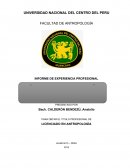 ESQUEMA DE INFORME DE EXPERIENCIA PROFESIONAL