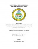 “ESTUDIO DE PRE FACTIBILIDAD Y PRE VIABILIDAD DE PLANTA PRODUCTORA DE CERVEZA ARTESANAL A PARTIR DEL MAIZ, MANAGUA, NICARAGUA, C. A.”