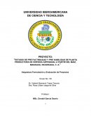 Estudio de pre factibilidad y pre viabilidad de planta productora de cerveza artesanal a partir del maiz