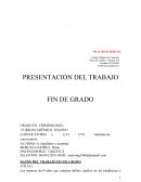 Medidas con ininputables PRESENTACIÓN DEL TRABAJO FIN DE GRADO